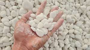 Adoquines de piedra de Río caídos blancos como la nieve pulidos de tamaño regular Guijarros redondos naturales de estilo de Diseño Industrial de Vietnam - Product Image 6