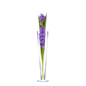 VTV0524 - Florero de Vidrio Tipo Pilsner Ancho - 24 - Product Image 3