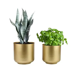 Uniek Ontwerp Plant Decor Meervoudig Gevormde Metalen Plantenbakken En Potten Tuinbenodigdheden Sappige Planten Indoor Home Decor Design