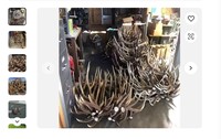 Prix des bois de cerf rouges de première qualité, cornes de cerf rouges.