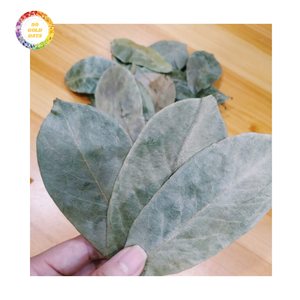 ใบ soursop graviola แห้งบริสุทธิ์-คุณภาพดีเยี่ยมในราคาต่ำ - Product Image 3