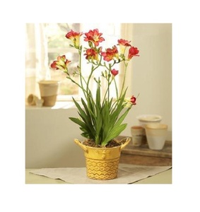 Juego de maceteros decorativos de metal vintage con acabado antiguo único con forma y tamaño personalizados para obtener a precio de venta - Product Image 5