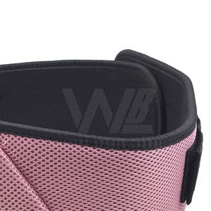 Top Selling Custom Neoprene <b>Belts</b> for <b>Weight</b> Lifting Fitness Workout Back Support with Logo Brand New Beast Design - Product Image 4