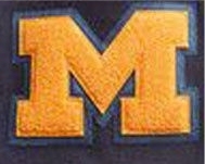 New High Quality Stylish Fashion Men's Winter Waterproof <b>Fleece</b> Varsity <b>Jacket</b> with Customizable Design - Product Image 4