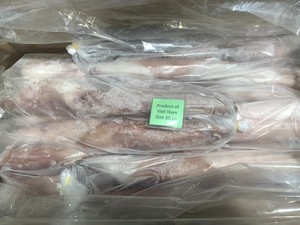 Calamar Loligo redondo entero congelado (calamares), embalaje IQF/BQF, paquete al vacío personalizable de calidad superior capturado en la naturaleza de Vietnam - Product Image 6