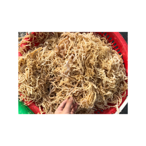 มอสทะเลแห้งสาหร่ายไอริชแบบผงเจลสำหรับตลาดอาหารและเครื่องดื่ม - Product Image 1