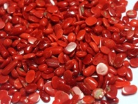 Pierres précieuses en vrac de corail italien naturel Produit élégant et unique pour la fabrication de bijoux en pierres précieuses