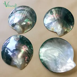 Black Mother of pearl Dish Caviar Plate made of Natural Shell Serving Caviar Egg Cake Dessert Size 9-11cm Various Shape