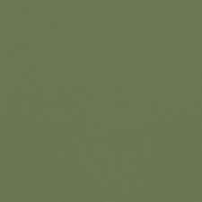 สีเขียวโอดี