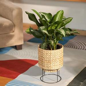 Élégant pot de plantes en rotin artisanal écologique, support élégant pour les plantes d'intérieur, parfait pour la décoration intérieure et le charme naturel - Product Image 3