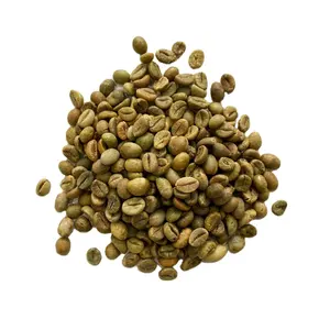 Robusta S18 Clean Best Quality Coffee Beans Good Price Wholesale Green Coffee Beans Customized