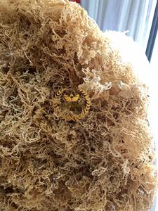 Premier exportateur, prix le plus bas, algues marines irlandaises sauvages/mousse marine sèche du Vietnam - Product Image 4