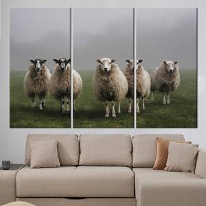 Toile imprimée : Impression artistique de moutons - Scène animale de ferme, lot de 3 toiles - Product Image 1