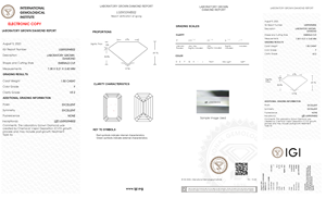 Diamants en vrac cultivés en laboratoire pour la fabrication de bijoux pour hommes et femmes, origine indienne, SHRAMAN DIAMOND, taille émeraude, certifié IGI, clarté VS2, 1,5 carat - Product Image 6