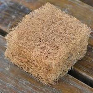Fibra de Coco Natural de Alta Calidad para Colchones, Cepillos, Cuerdas, Tapetes de Cultivo, Fibra de Coco para Acolchado, Venta al por Mayor desde India - Product Image 4