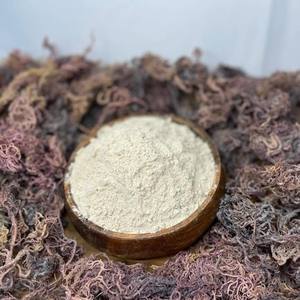 ผงสาหร่ายทะเลแบบไอริชผงสาหร่ายมอสจากเวียดนาม - Product Image 6