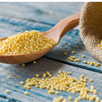 VENTE EN GROS DES GRAINS DE MILLET PUR PROPRE NUTRITIF DES CÉRÉALES DE QUALITÉ D'EXPORTATION EN VRAC