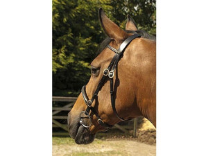 Bridas de cuero inglés a mano-Brida Halter de caballo de estilo occidental multifuncional Suministros ecuestres de cuero con acabado mate - Product Image 4
