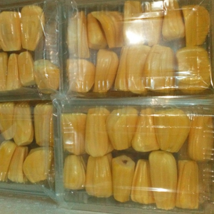 Meilleur jacquier congelé pour smoothies \ 100% naturel, sans sucre ajouté | Grossiste fournisseur vietnamien - Product Image 5