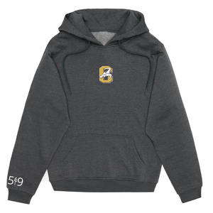 Soft Durable Hoodie With Premium Cotton Adjustable Hood And Customized Print Perfect For Casual Wear Low MOQ - Product Image 1