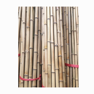 Straight <b>Bamboo</b> Pole Material / Big Size <b>Bamboo</b> Poles for Construction/ <b>Bamboo</b> <b>Fence</b> Origin From Vietnam - Product Image 2