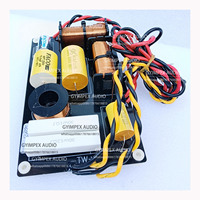 Diviseur de fréquences 2 voies pour haut-parleurs aigus et basses, pour système de sonorisation professionnel à double ligne passive de 8 pouces, pièces audio CR208T2