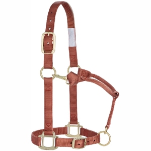 Meilleur licou de cheval de course de haute qualité PP licou de corde et collier de tête de cheval - Product Image 5