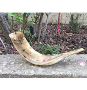 Corne de bélier de qualité supérieure Shofar corne naturelle Shofar pour souffler sur Rosh Hashanah Corne de bélier casher Shofar Kudu polie de qualité supérieure - Product Image 1