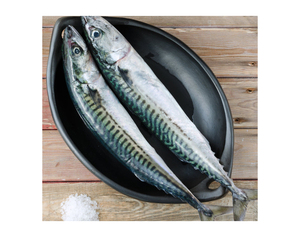 Pescado de Alta Calidad, Pescado Entero, Caballa, Caballa del Pacífico Congelada HGT en Venta, Pescado Congelado, Cangrejo Vivo - Product Image 2