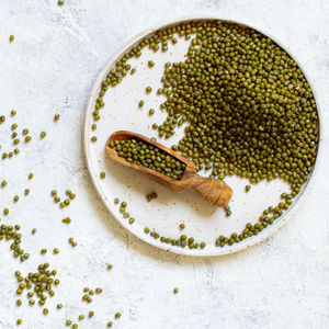 Usine en vrac de qualité supérieure exportation directe de gros haricots mungo séchés naturels haute teneur en protéines récolte fraîche qualité haricots mungo purs - Product Image 4