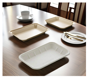 Bandeja de Bagazo Biodegradable, Resistente al Agua y al Aceite, de Caña de Azúcar 2D, Apta para Alimentos, Compostable, Desechable, Ecológica - Product Image 1