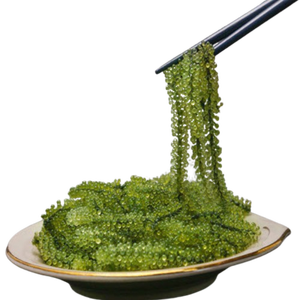 รถสีเขียวสำหรับองุ่นสาหร่ายทะเลสีเขียวเข้มส่งออกจากเวียดนาม - Product Image 3