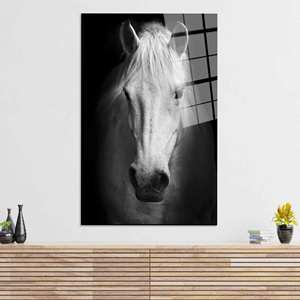 Lienzo Impreso: Arte Fotográfico de Caballo Blanco, Decoración Rústica para Casa de Campo, Arte en Vidrio Templado - Product Image 1