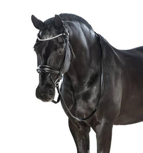 Couleur café Anti-gravité Snaffle Bridle Confortable Rembourré Extérieur Ensemble Complet Fantaisie Décoratif En Cuir Matériel - Product Image 4