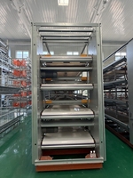 Système de cages à poulets en H pour élevage en batterie, équipement avicole automatique, fabricant et fournisseur en gros