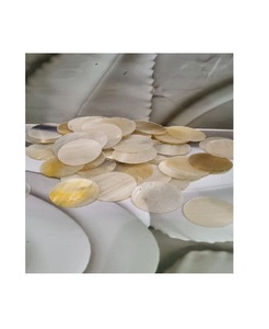 Espacios en blanco de botón de cuerno de búfalo natural de primera calidad para proyectos de manualidades DIY y fabricación de botones personalizados - Product Image 1