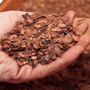 Coquille de cacao bio Cosses de cacao crues Déchets agricoles naturels disponibles en vrac - Product Image 4