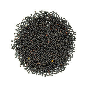 Graines de canola de catégorie d'exportation offertes pour l'expédition sûre avec des normes de qualité cohérentes - Product Image 1