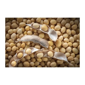 Graines de soja non-OGM à haut rendement avec 18 % de protéines, maturité précoce, conditionnement en vrac 25 kg pour une production agricole améliorée - Product Image 1