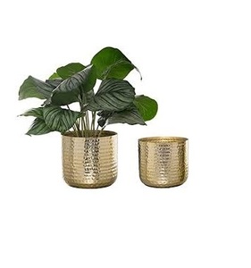 Cubos de Metal para jardín con mango, cubos de maceta rústicos Retro decorativos de tamaño mediano, latas para plantas o almacenamiento - Product Image 2