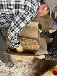 เปลือกซินนามอนจากเวียดนาม/แคนเนล/ศรีลังกา - Product Image 5