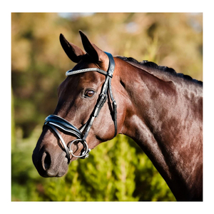 ฉลากส่วนตัว Oem/odm Adeline หนังบังเหียน Hanoverian ที่ดีที่สุดราคาขายส่ง - Product Image 2