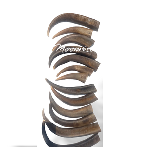 Compra al por Mayor de Puntas de Cuerno de Búfalo y Vaca, Piezas en Blanco para Artesanía Natural de China, Vietnam, Japón, Puntas Redondas Negras y de Colores - Product Image 1