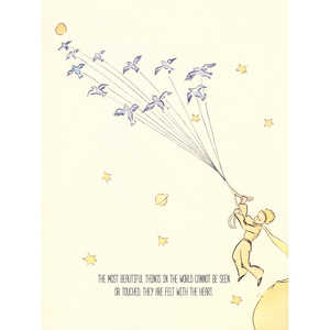 ภาพพิมพ์ศิลปะเลอ ปิแอตต์ ปรินซ์ ภาพนิ่งที่สวยงามสำหรับตกแต่งผนัง - Product Image 1