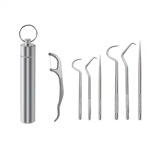 4PCS Portable Stainless Steel Tooth Pick Set Reusable Metal Toothpicks Kit for Outdoor Picnic Traveling