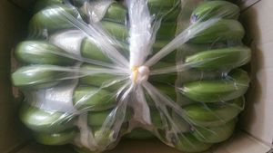 Premium Fresh Cavendish Banana Export Vietnam Proveedor mayorista Fruta a granel para jugos Batidos Ensalada Postres y mercado - Product Image 3