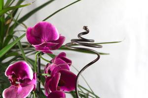 Meilleur prix bâtons de jardin en cuivre massif art de cour extérieur décoratif pour le soutien des plantes et l'aménagement paysager - Product Image 6