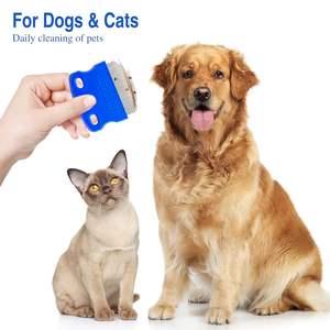 Professional 2-Pack Stainless Steel Eye Comb Gentle Round-Head Groom for Cats and Dogs Tear <b>Stain</b> & Flea Lice <b>Remover</b> - Product Image 6