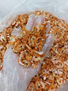 Camarón natural secado al sol, marisco rico en proteínas, perfecto para sopas, ensaladas y aperitivos, conservante sin datos de oro 99 - Product Image 2