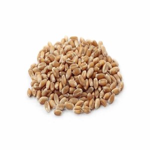 กลูเตนจากข้าวสาลีที่สำคัญแบบแห้งสำหรับใช้เป็นอาหาร - Product Image 4